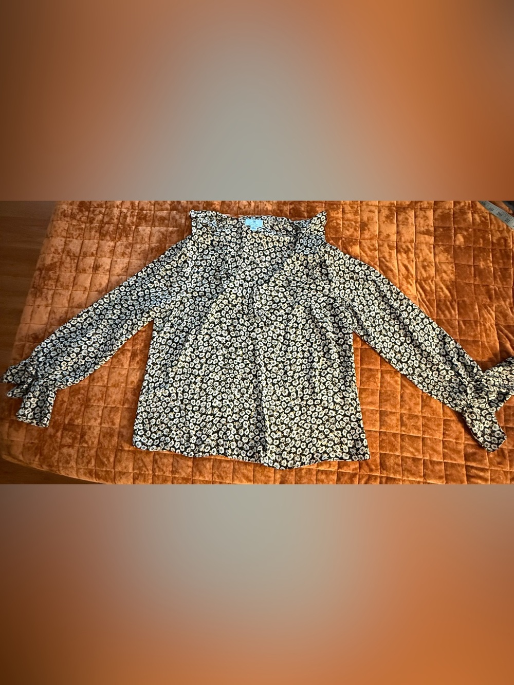 CeCe Women's  SZ (L) long Sleeve Blue Floral Blouse W/ruffle Collar and sleeves